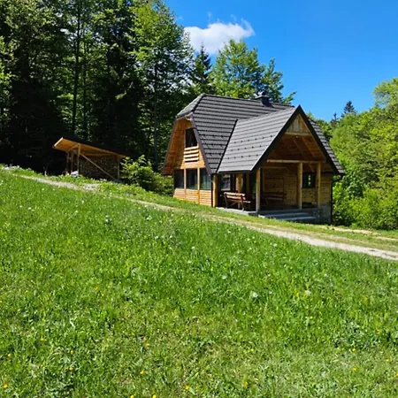 Forest Fairy Villa