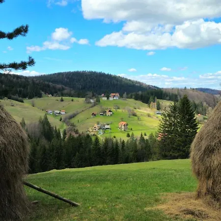 Villa Forest Fairy Sljivovica (Zlatibor)