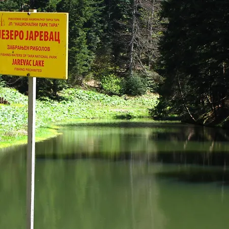 Sumska Sljivovica (Zlatibor)