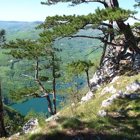 Forest Fairy Villa Sljivovica (Zlatibor)